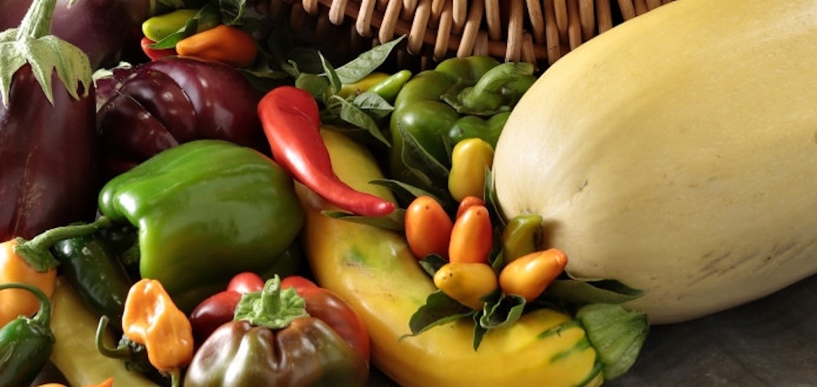 Catering Paso Robles Fresh